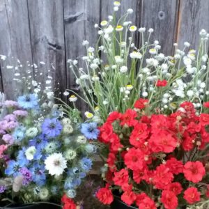 Seaux de fleurs